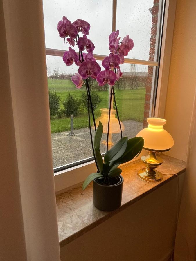 Meine Ferienwohnung Fehmarn Dış mekan fotoğraf